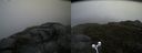./images/calvert/buxton2/20160612/buxton220160612_140003M.jpg