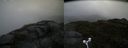 ./images/calvert/buxton2/20160612/buxton220160612_140515M.jpg