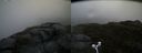 ./images/calvert/buxton2/20160612/buxton220160612_141513M.jpg