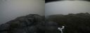 ./images/calvert/buxton2/20160612/buxton220160612_165045M.jpg