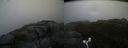 ./images/calvert/buxton2/20160612/buxton220160612_174514M.jpg