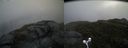 ./images/calvert/buxton2/20160614/buxton220160614_095515M.jpg