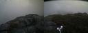 ./images/calvert/buxton2/20160614/buxton220160614_163525M.jpg
