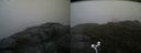 ./images/calvert/buxton2/20160614/buxton220160614_165009M.jpg