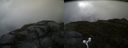 ./images/calvert/buxton2/20160614/buxton220160614_190002M.jpg