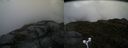 ./images/calvert/buxton2/20160614/buxton220160614_191026M.jpg