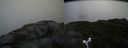 ./images/calvert/buxton2/20160614/buxton220160614_192531M.jpg