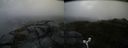 ./images/calvert/buxton2/20160616/buxton220160616_085521M.jpg