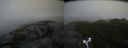 ./images/calvert/buxton2/20160616/buxton220160616_125513M.jpg