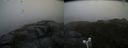 ./images/calvert/buxton2/20160616/buxton220160616_135610M.jpg