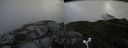 ./images/calvert/buxton2/20160617/buxton220160617_103506M.jpg