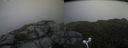 ./images/calvert/buxton2/20160617/buxton220160617_110009M.jpg