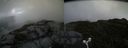 ./images/calvert/buxton2/20160617/buxton220160617_113506M.jpg