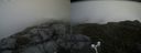 ./images/calvert/buxton2/20160617/buxton220160617_115543M.jpg