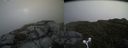 ./images/calvert/buxton2/20160617/buxton220160617_120508M.jpg