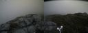 ./images/calvert/buxton2/20160617/buxton220160617_122503M.jpg