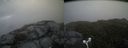 ./images/calvert/buxton2/20160617/buxton220160617_132534M.jpg