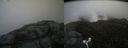 ./images/calvert/buxton2/20160617/buxton220160617_141508M.jpg