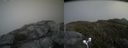 ./images/calvert/buxton2/20160620/buxton220160620_150013M.jpg