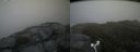 ./images/calvert/buxton2/20160620/buxton220160620_185536M.jpg