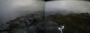 ./images/calvert/buxton2/20160621/buxton220160621_115003M.jpg