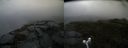 ./images/calvert/buxton2/20160621/buxton220160621_124522M.jpg