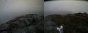 ./images/calvert/buxton2/20160621/buxton220160621_135003M.jpg