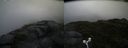 ./images/calvert/buxton2/20160621/buxton220160621_190537M.jpg