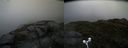 ./images/calvert/buxton2/20160621/buxton220160621_203532M.jpg