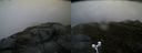 ./images/calvert/buxton2/20160622/buxton220160622_063016M.jpg