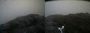 ./images/calvert/buxton2/20160622/buxton220160622_135008M.jpg
