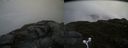 ./images/calvert/buxton2/20160622/buxton220160622_152003M.jpg