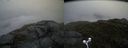 ./images/calvert/buxton2/20160622/buxton220160622_152503M.jpg