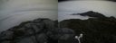 ./images/calvert/buxton2/20160623/buxton220160623_094519M.jpg