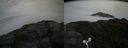 ./images/calvert/buxton2/20160623/buxton220160623_104543M.jpg