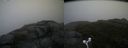 ./images/calvert/buxton2/20160623/buxton220160623_141528M.jpg