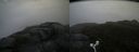 ./images/calvert/buxton2/20160623/buxton220160623_153527M.jpg