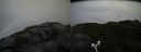 ./images/calvert/buxton2/20160623/buxton220160623_155511M.jpg