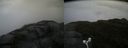./images/calvert/buxton2/20160623/buxton220160623_174524M.jpg