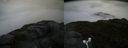 ./images/calvert/buxton2/20160623/buxton220160623_180023M.jpg