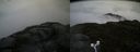 ./images/calvert/buxton2/20160623/buxton220160623_180527M.jpg