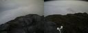 ./images/calvert/buxton2/20160623/buxton220160623_182535M.jpg