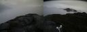 ./images/calvert/buxton2/20160623/buxton220160623_184009M.jpg