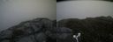 ./images/calvert/buxton2/20160624/buxton220160624_155527M.jpg