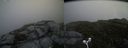 ./images/calvert/buxton2/20160624/buxton220160624_161008M.jpg
