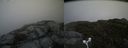 ./images/calvert/buxton2/20160624/buxton220160624_162528M.jpg
