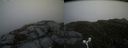 ./images/calvert/buxton2/20160624/buxton220160624_164025M.jpg