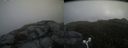 ./images/calvert/buxton2/20160624/buxton220160624_175510M.jpg