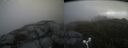 ./images/calvert/buxton2/20160624/buxton220160624_180018M.jpg