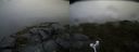 ./images/calvert/buxton2/20160625/buxton220160625_092517M.jpg